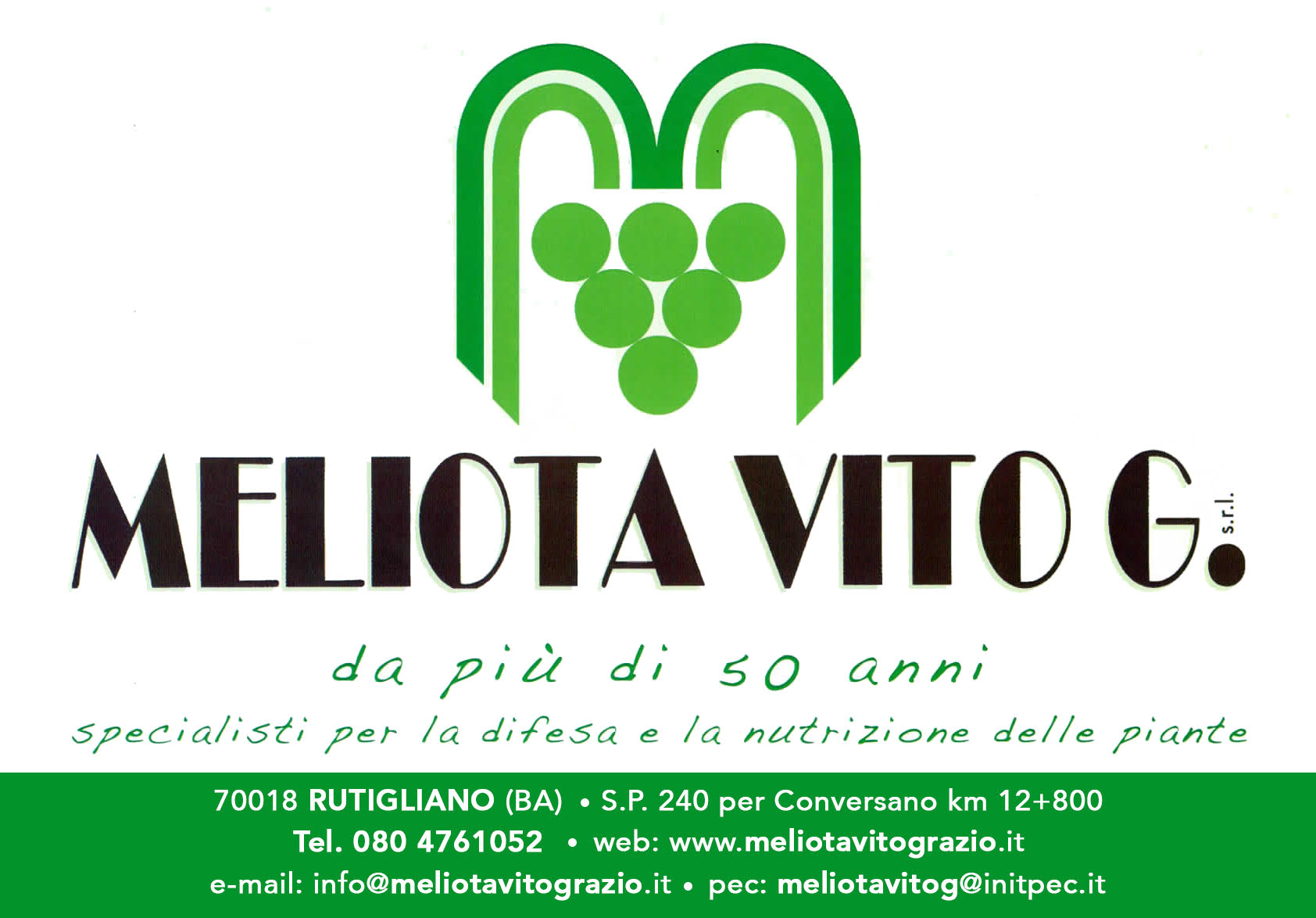 MELIOTA VITO GRAZIO SRL